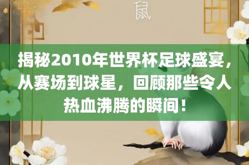 揭秘2010年世界杯足球盛宴，从赛场到球星，回顾那些令人热血沸腾的瞬间！