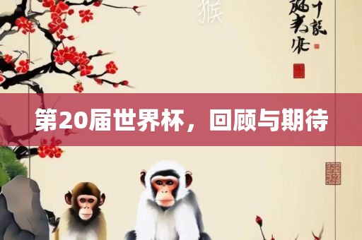 第20届世界杯，回顾与期待