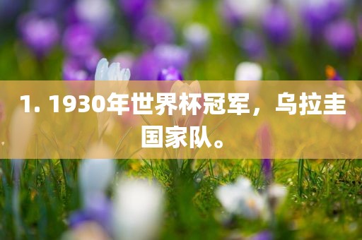 1. 1930年世界杯冠军，乌拉圭国家队。