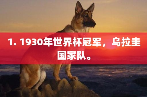 1. 1930年世界杯冠军，乌拉圭国家队。