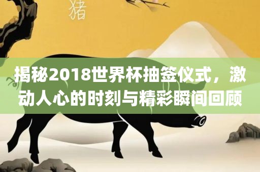 揭秘2018世界杯抽签仪式，激动人心的时刻与精彩瞬间回顾