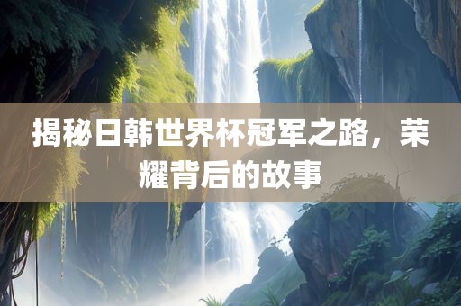 揭秘日韩世界杯冠军之路，荣耀背后的故事