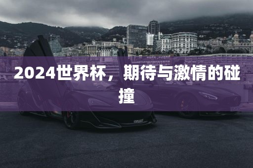 2024世界杯，期待与激情的碰撞