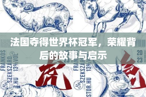 法国夺得世界杯冠军，荣耀背后的故事与启示