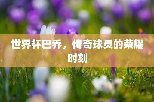 世界杯巴乔，传奇球员的荣耀时刻
