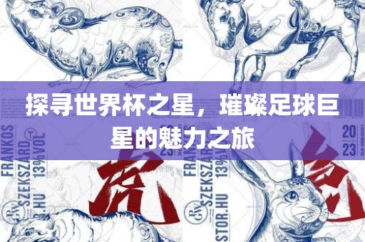 探寻世界杯之星，璀璨足球巨星的魅力之旅