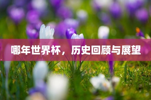 哪年世界杯，历史回顾与展望