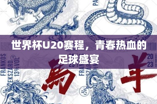 世界杯U20赛程，青春热血的足球盛宴