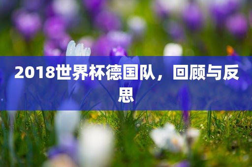 2018世界杯德国队，回顾与反思