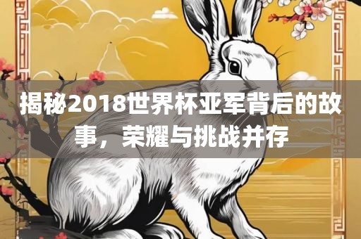揭秘2018世界杯亚军背后的故事，荣耀与挑战并存