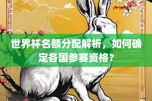 世界杯名额分配解析，如何确定各国参赛资格？