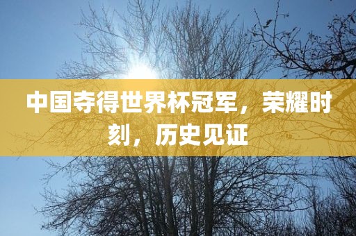 中国夺得世界杯冠军，荣耀时刻，历史见证