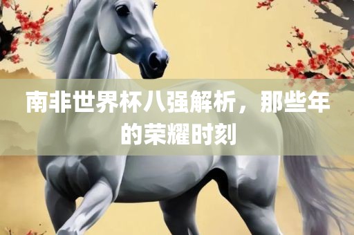 南非世界杯八强解析，那些年的荣耀时刻