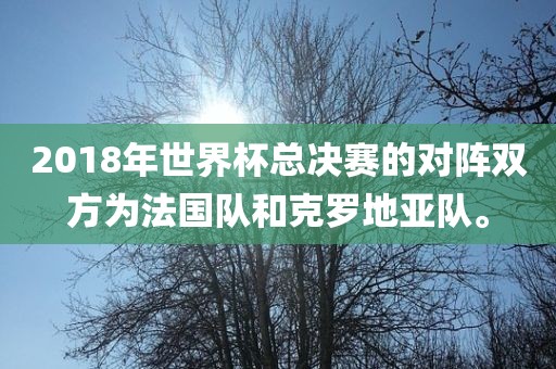 2018年世界杯总决赛的对阵双方为法国队和克罗地亚队。