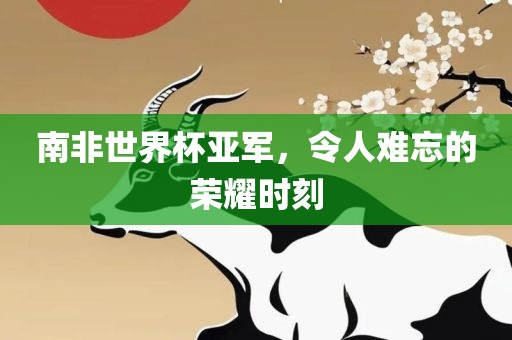 南非世界杯亚军，令人难忘的荣耀时刻