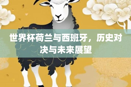 世界杯荷兰与西班牙，历史对决与未来展望