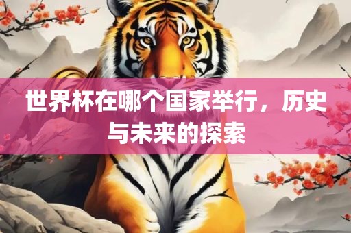世界杯在哪个国家举行，历史与未来的探索