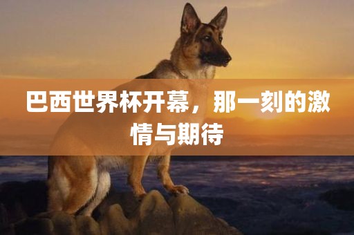 巴西世界杯开幕，那一刻的激情与期待
