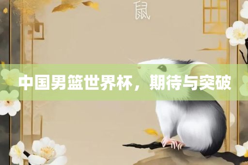 中国男篮世界杯，期待与突破