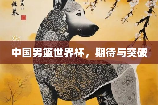 中国男篮世界杯，期待与突破