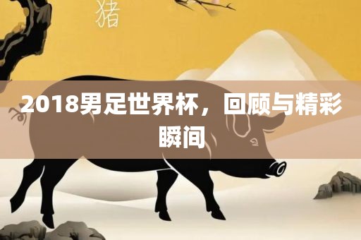 2018男足世界杯，回顾与精彩瞬间