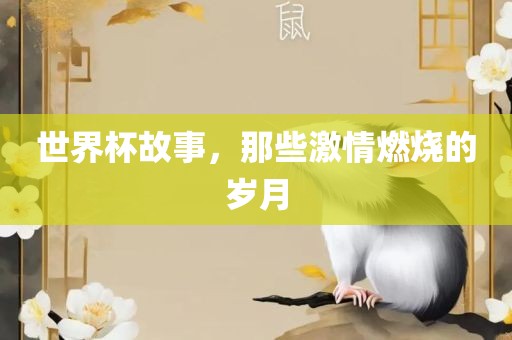 世界杯故事，那些激情燃烧的岁月