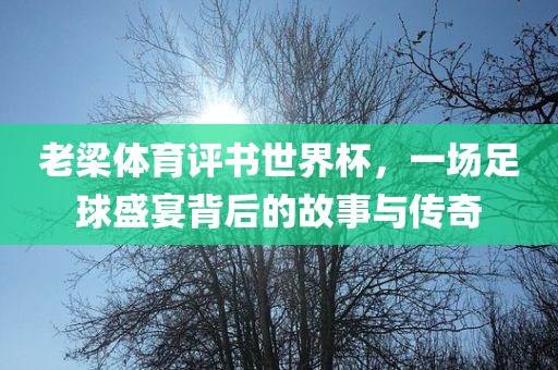 老梁体育评书世界杯，一场足球盛宴背后的故事与传奇