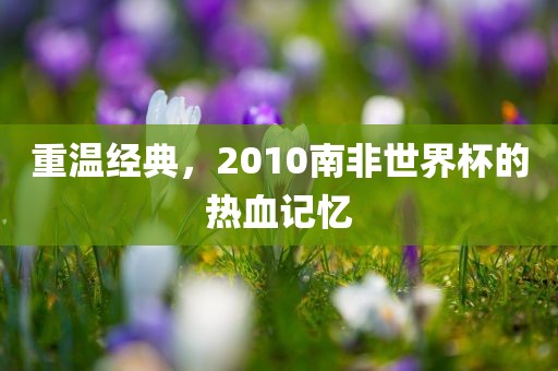 重温经典，2010南非世界杯的热血记忆