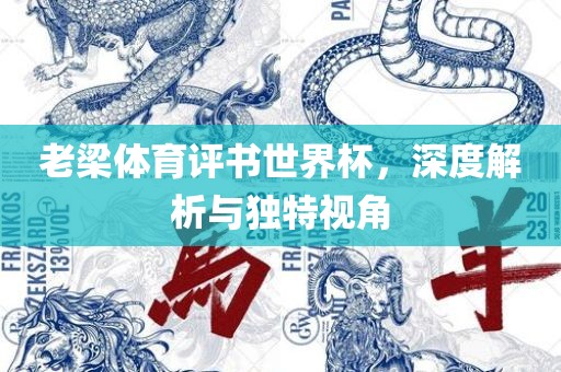 老梁体育评书世界杯，深度解析与独特视角