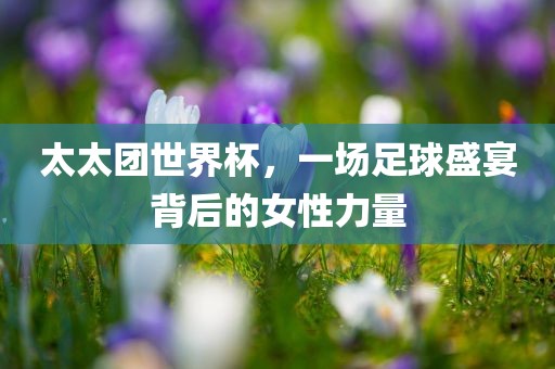 太太团世界杯，一场足球盛宴背后的女性力量