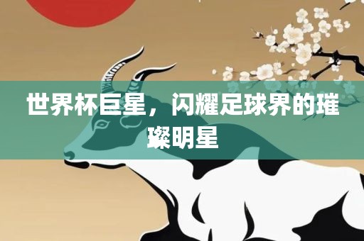 世界杯巨星，闪耀足球界的璀璨明星
