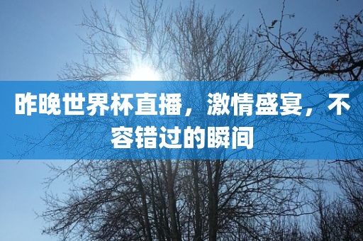 昨晚世界杯直播，激情盛宴，不容错过的瞬间