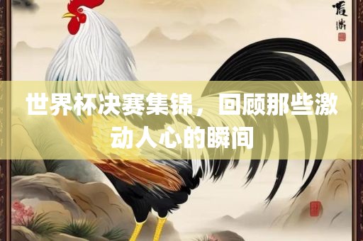 世界杯决赛集锦，回顾那些激动人心的瞬间