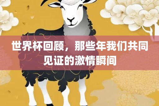 世界杯回顾，那些年我们共同见证的激情瞬间