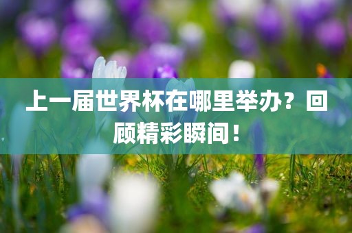 上一届世界杯在哪里举办？回顾精彩瞬间！