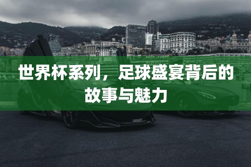 世界杯系列，足球盛宴背后的故事与魅力