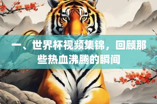 一、世界杯视频集锦，回顾那些热血沸腾的瞬间