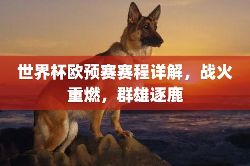 世界杯欧预赛赛程详解，战火重燃，群雄逐鹿