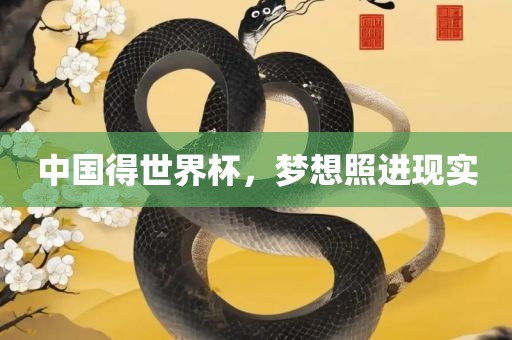 中国得世界杯，梦想照进现实