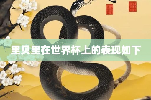 里贝里在世界杯上的表现如下