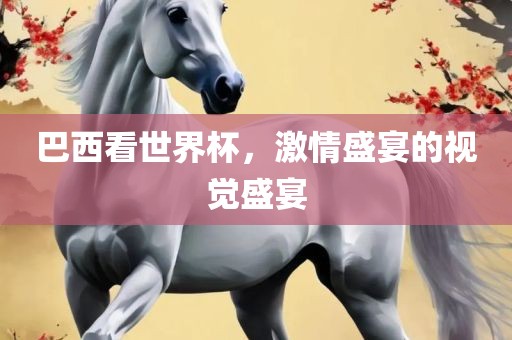 巴西看世界杯，激情盛宴的视觉盛宴