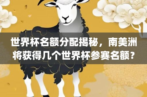 世界杯名额分配揭秘，南美洲将获得几个世界杯参赛名额？