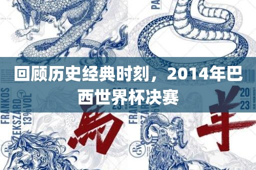 回顾历史经典时刻，2014年巴西世界杯决赛