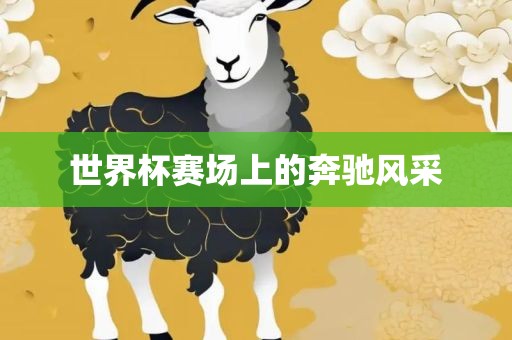 世界杯赛场上的奔驰风采