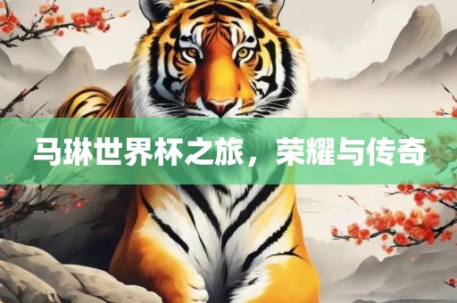马琳世界杯之旅，荣耀与传奇