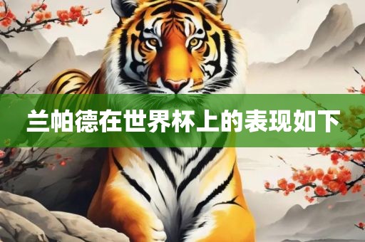 兰帕德在世界杯上的表现如下