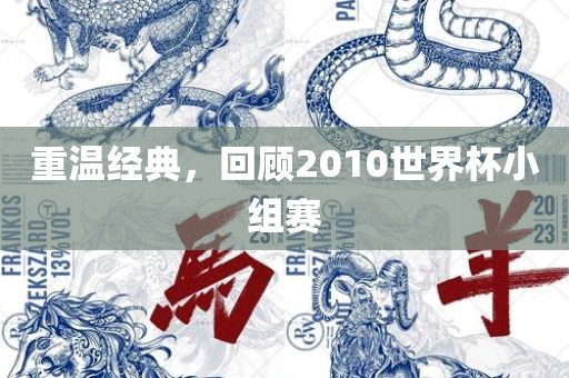 重温经典，回顾2010世界杯小组赛