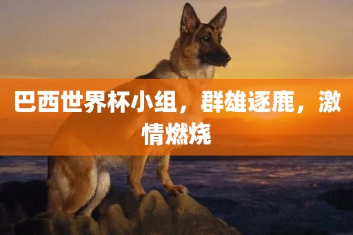 巴西世界杯小组，群雄逐鹿，激情燃烧