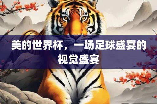 美的世界杯，一场足球盛宴的视觉盛宴