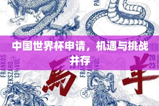 中国世界杯申请，机遇与挑战并存